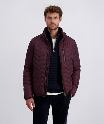 Kurtka Pierre Cardin Poznań 10172.0090 4313 bordo